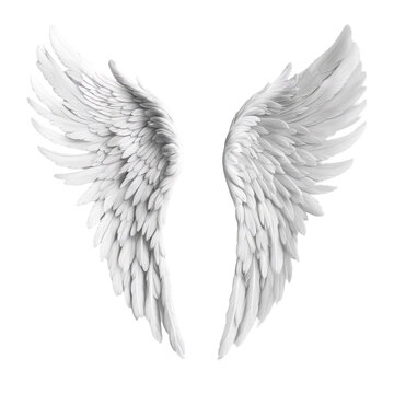 Angel wings isolated on transparent or white background ornament PNG Clipart