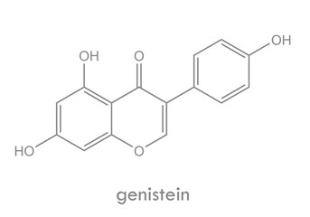 Genistein structure. Molecule of isoflavone phytoestrogen and angiogenesis inhibitor.