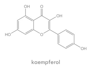 Kaempferol structure. Molecule of flavonol (flavonoid) found in many plants.