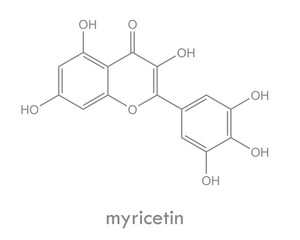 Myricetin structure. Molecule of flavonoid found in many plants, tea and red wine.