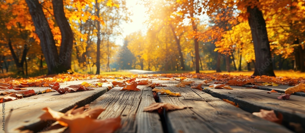 Aufkleber beautiful colorful natural autumn background wooden flooring on the background of a blurred autumn p