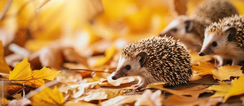 Aufkleber autumn craft paper hedgehog art project for kindergarten kids seasonal activity concept. copy space 
