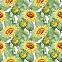 Floral seamless pattern with sunflowers and green leaves.