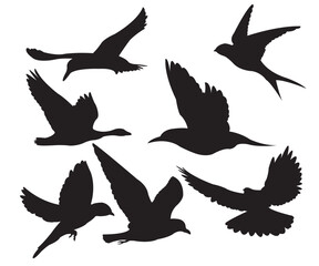 flying bird vector icon, with black color, bird shadow, illustration vector, suitable for design variations