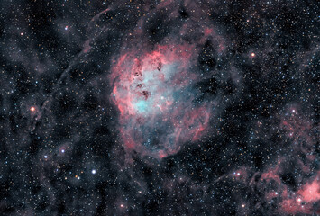 Cosmic nebula in Auriga