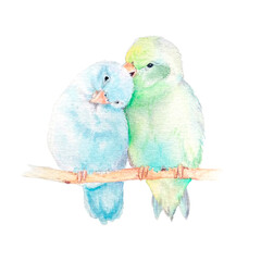 Cute love birds watercolor illustration.Hand painted card with tradizional symbols isolated on white background.Cute love birds illustration for design.