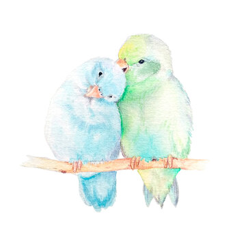 recommend clip art: Cute love birds watercolor illustration.Hand painted card with tradizional symbols isolated on white background.Cute love birds illustration for design.