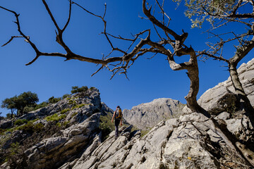 cresta del Puig de Ses Vinyes, Escorca, Mallorca, balearic islands, Spain