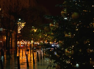 Budapest, Hungary: Christmas tree near Eotvos Lorand University at Egyetem street.