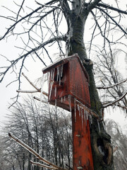 Bird house in winter on an old tree
