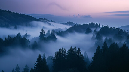 peak fog evening foggy landscape