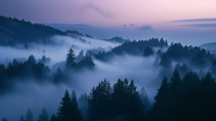 Obraz premium peak fog evening foggy landscape