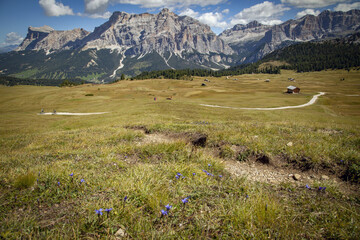 Enchanted Dolomiti: the Pralongià plateau