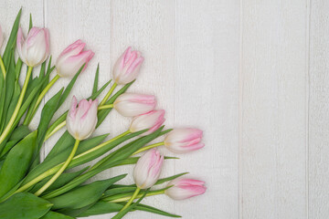 Obraz na płótnie Canvas Spring background with pink and white tulips on white wood