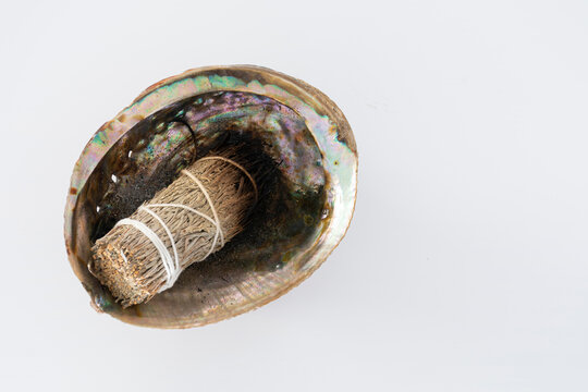 A top view image of a white sage smudge stick and abalone shell on a white background. 