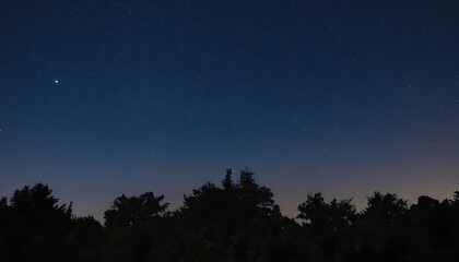 Starry night over trees silhouette 