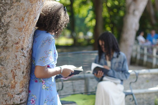 Sumergido en Palabras: Tranquilidad de la Lectura junto al Librero