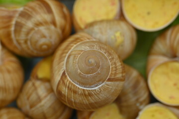 Delicatessen food - Bourgogne Escargot Snails with garlic butter in a pan., white background. Top view