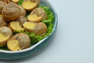 macro snails with white sauce photo above, snails with basil pesto, Grana Padano and pine nuts	
