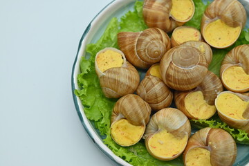macro snails with white sauce photo above, snails with basil pesto, Grana Padano and pine nuts	