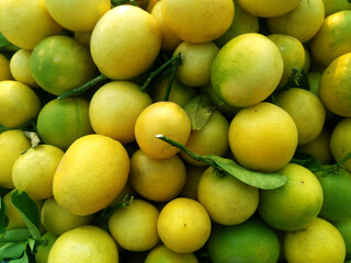 Vibrant Green and yellow Lemons: Fresh Citrus Fruits Bundle for Zesty Recipes and Refreshing Beverages