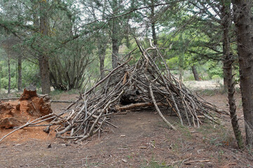 wooden tent structure made from tree branches in the woods