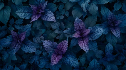 Möbelaufkleber A Cluster of Fallen Purple Leaves Scattered on the Ground © Reisekuchen