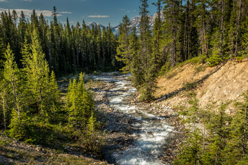 Obraz premium Water flows over rocks from the mountains Mosquito Creek Banff National Park Alberta Canada