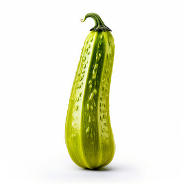 Bitter Gourd Isolated on White Background