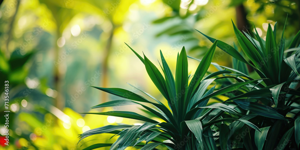 Poster A close-up view of a bunch of vibrant green plants. Perfect for adding a touch of nature to any project or design
