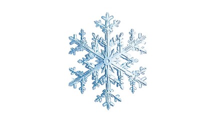 Snowflake on White Background