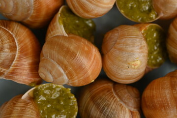 macro snails with pesto sauce photo above, snails with basil pesto, Grana Padano and pine nuts