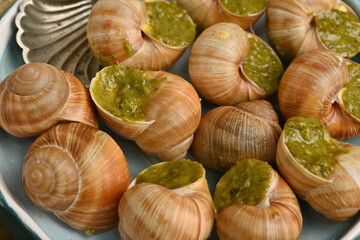 macro snails with pesto sauce photo above, snails with basil pesto, Grana Padano and pine nuts