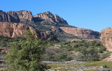 Obraz premium french landscape in Var disrict, Provence, France