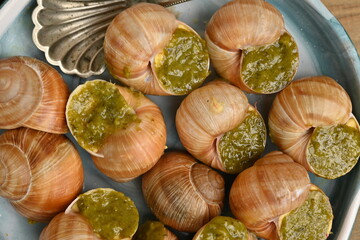 macro snails with pesto sauce photo above, snails with basil pesto, Grana Padano and pine nuts