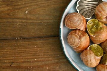 macro snails with pesto sauce photo above, snails with basil pesto, Grana Padano and pine nuts