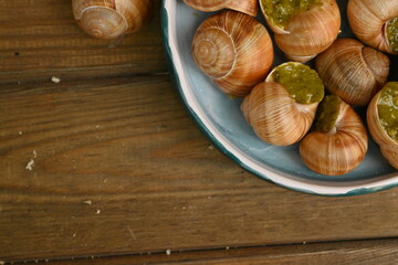 macro snails with pesto sauce photo above, snails with basil pesto, Grana Padano and pine nuts