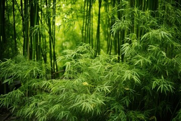 A detailed view of a dense bamboo forest with its sturdy trunks and lush foliage. Generative AI