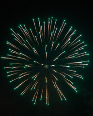 fireworks in the night sky