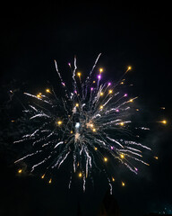 fireworks in the night sky