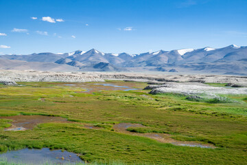 Tso Momriri, a high-altitude lake in the Himalayas, Ladakh, mountain lake, India