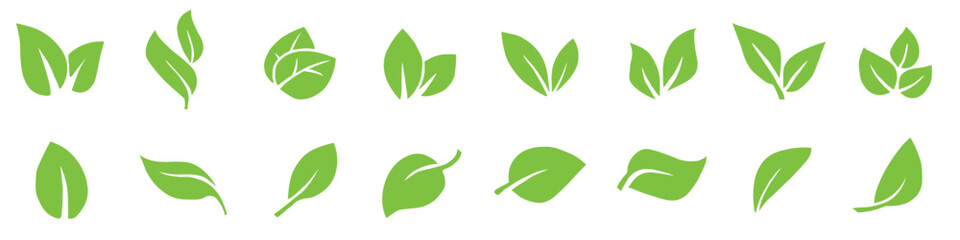Green leaf icons set. Set of green leaf icons. Collection green leaf.