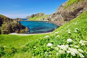 夏の礼文島　スカイ岬