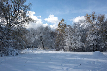 Winter Landscape of South Park in city of Sofia, Bulgaria