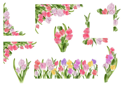 Tulip border clipart. Spring flowers. Seamless border, bouquet, corner wreath. Watercolor illustration. Easter card, wedding invitation, mother day