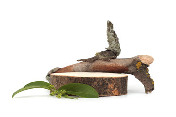 Wood stump and snag platform podium on white background. Minimal empty display product presentation scene.