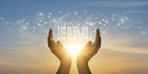 EIM. Man Holding Global Network and Connecting Data of Enterprise Information Management with Business on the Internet, Streamlining Processes, Enhancing Information Flow.