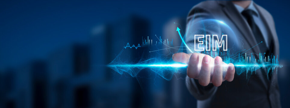 EIM: Businessman Holding Enterprise Information Management Icon and Global Network with Analyzing Technological Data, Efficient Information Management, Network Connection on Interface Background.