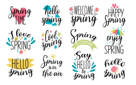 Spring or summer time handmade text quote. Hello spring time vector lettering text greeting card special springtime typography hand drawn.