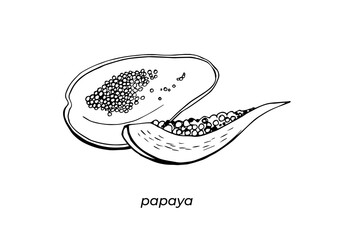 Isolated pattern set of papaya on white background, golden vector. Tropical Fruits.